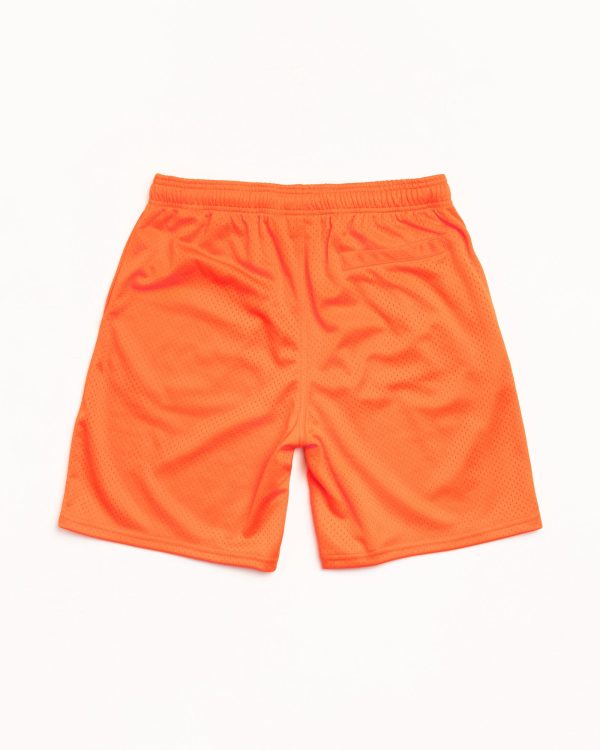 BASIC MESH SHORT - Image 7
