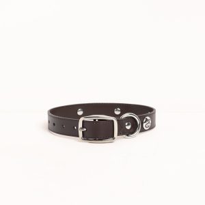 STUDDED DOG COLLAR