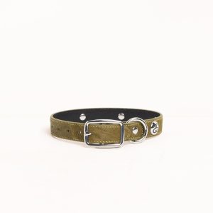 STUDDED DOG COLLAR