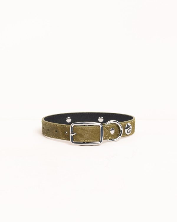 STUDDED DOG COLLAR