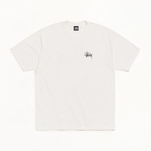 BASIC STÜSSY TEE PIGMENT DYED
