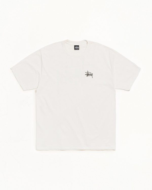 BASIC STÜSSY TEE PIGMENT DYED