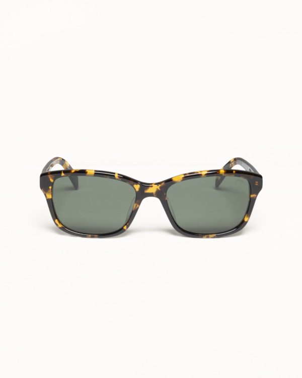 ALAN SUNGLASSES