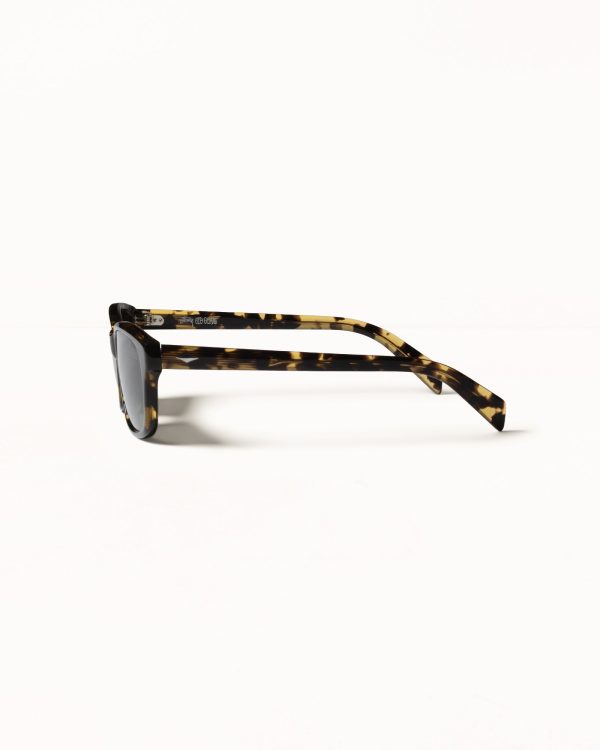 ALAN SUNGLASSES - Image 2